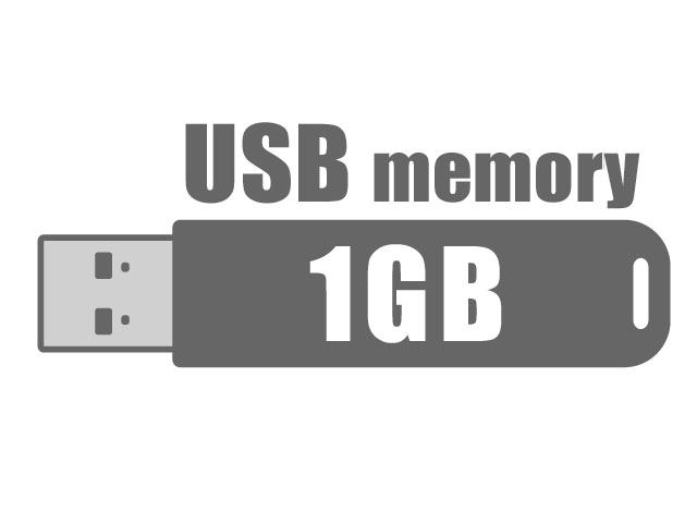 1GB USB OEM Х륯