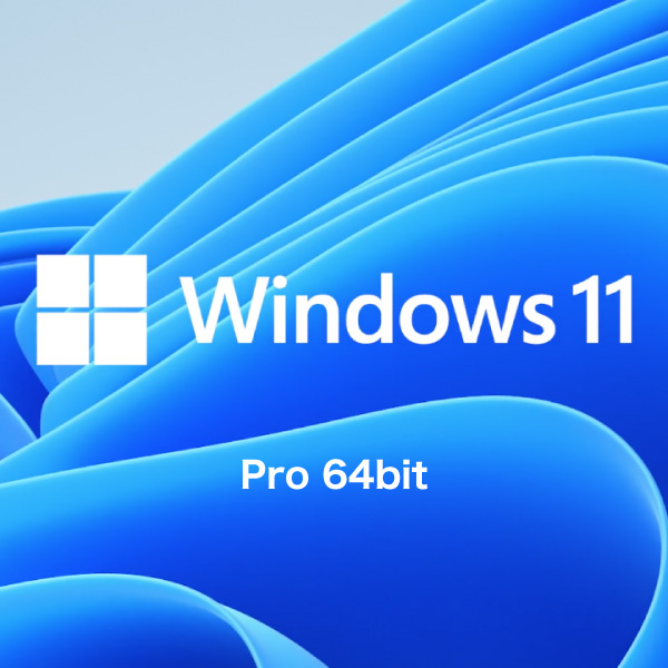 Windows 11 Pro 64bit ܸ DSP